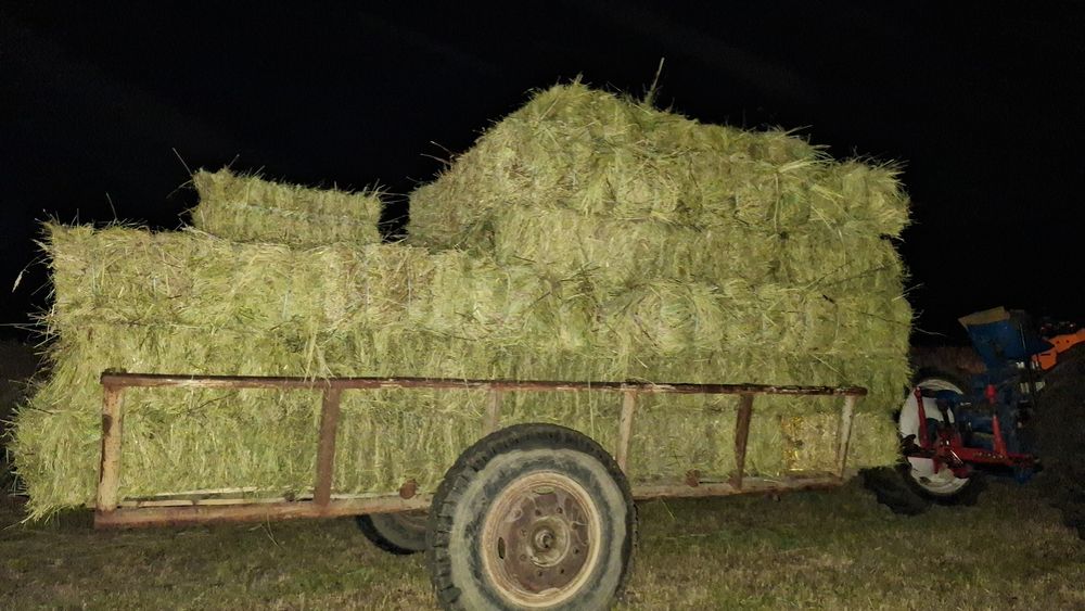 Vand baloți  de fan cu lucernă