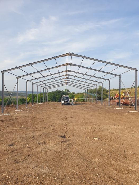 Hale și structuri metalice