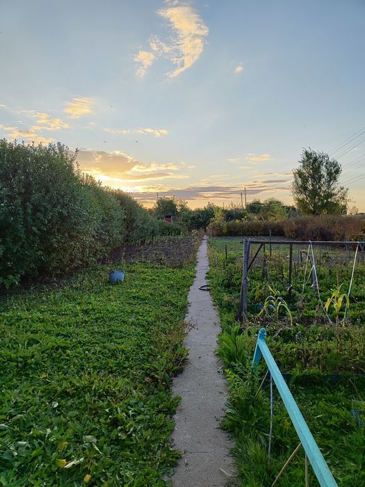 Продам дачу в Черёмушках рядом с речкой