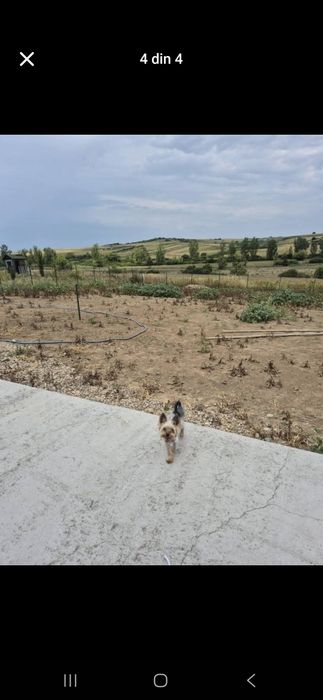 Casa la cheie din containere modulare + teren 1000 mp