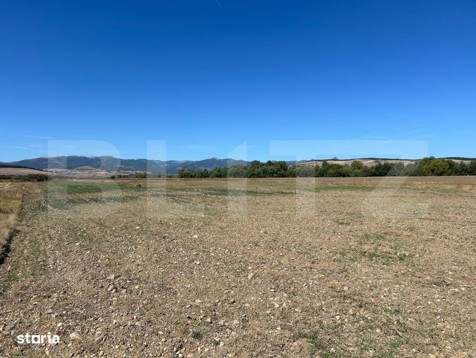 Teren agricol de vanzare-5.000mp