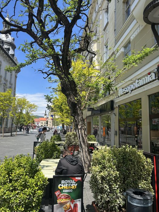 Spațiu Comercial ultracentral la parter în Palatul Sebestyén, strada Universității numarul 3, Cluj-Napoca