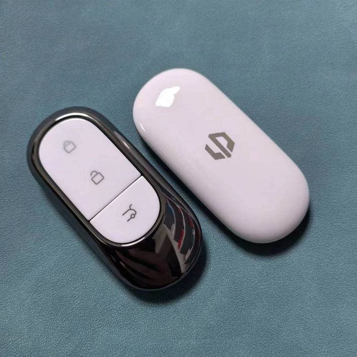 Leapmotor c01 c10 c11 c16 s01 T01 pult