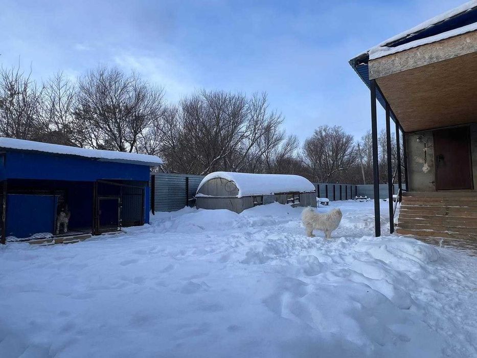 Продам дом в пригороде Костаная