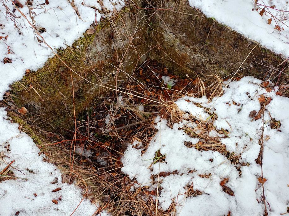 Продава се Парцел в с. Ялботина, Област София-област - 1000 кв.м за 8 €/кв.м - Снимка #4