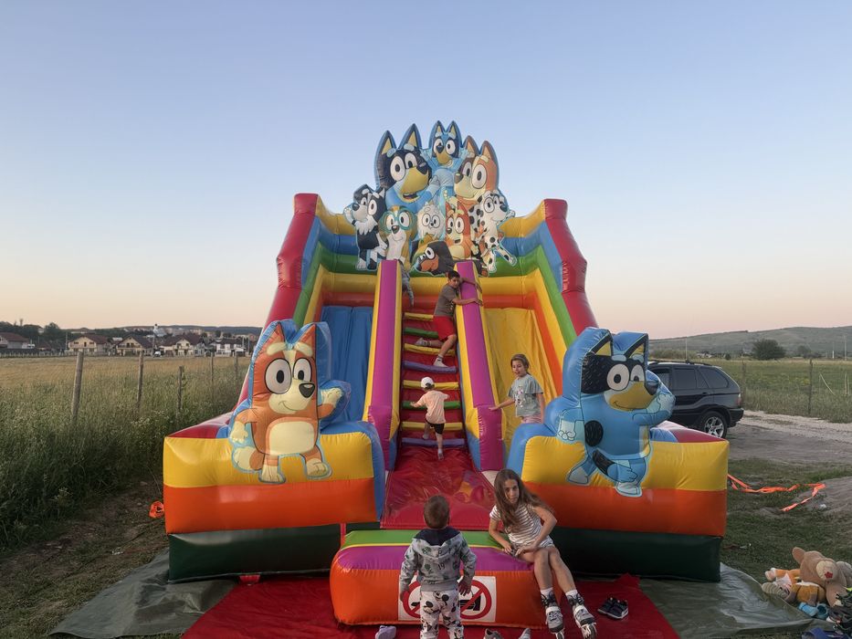 Tobogane de închiriat