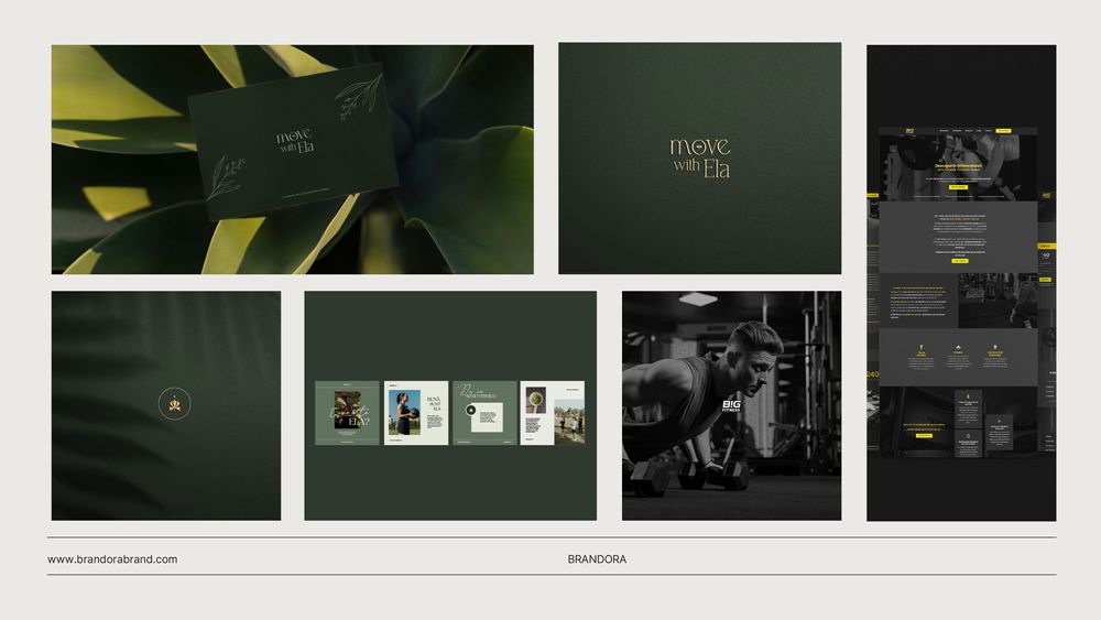 Ofer Servicii de Branding, Logo Design și Web Design