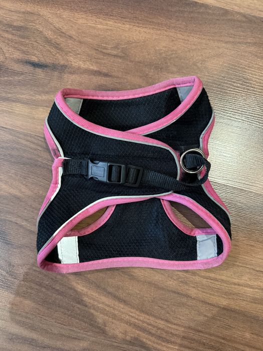 Кучешки нагръдник