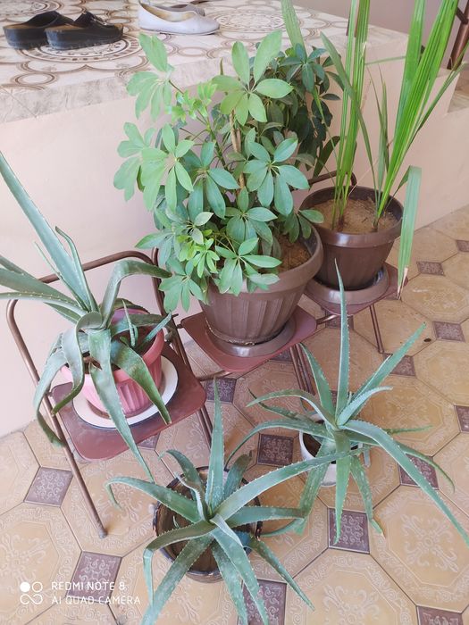 Мебеллар сотилади арзон нархда