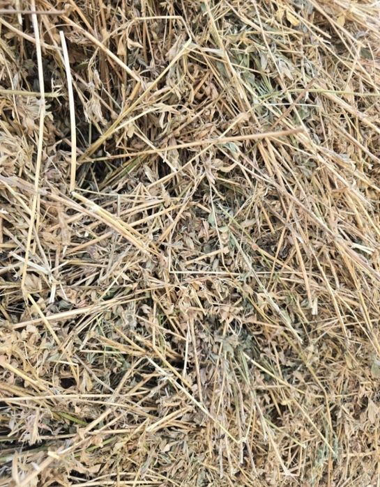 Baloti lucernă si fân 1.20