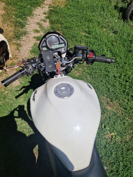Vand Piese Honda CB 600 F Hornet 2010