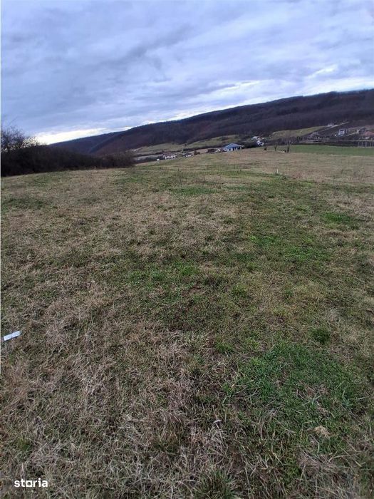 RECO Teren intravilan 5487 mp cu dublu front stradal-zona Betfia