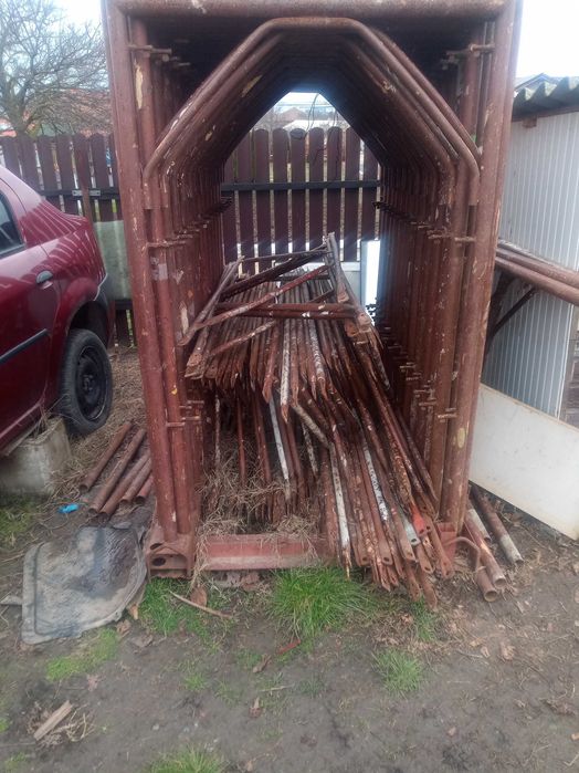 Schela                  i                             italiana