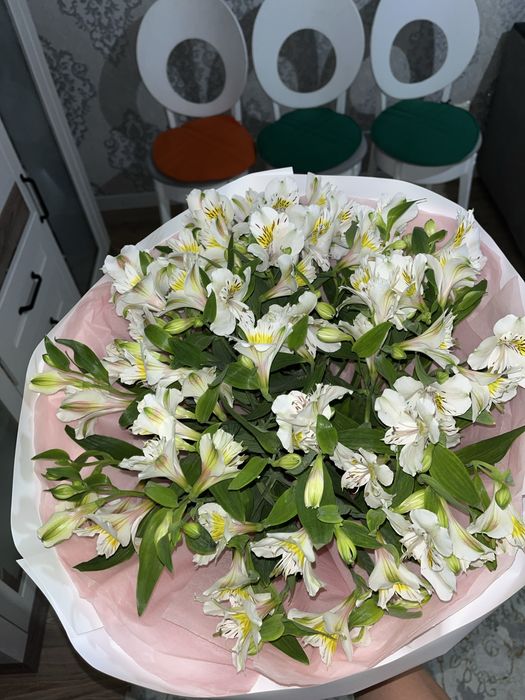 альстромерий цветы