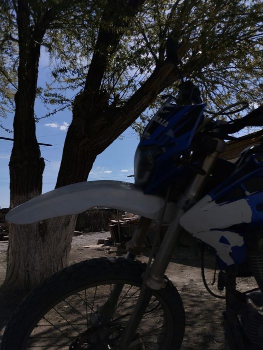 Jelmaia Эндуро 250 Куб