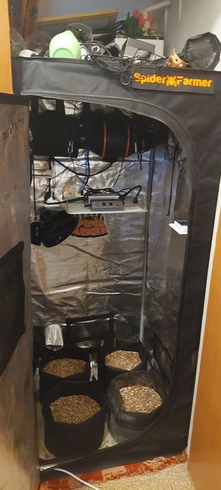 Hydroponic System Spider Farmer SF1000