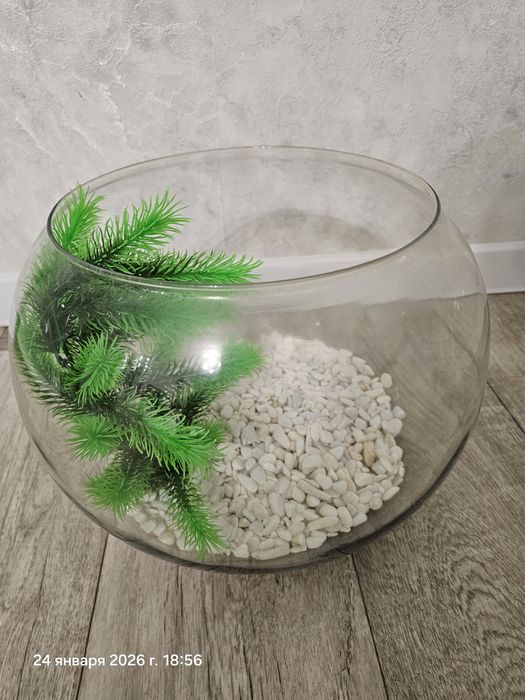 Продам аквариум круглый.