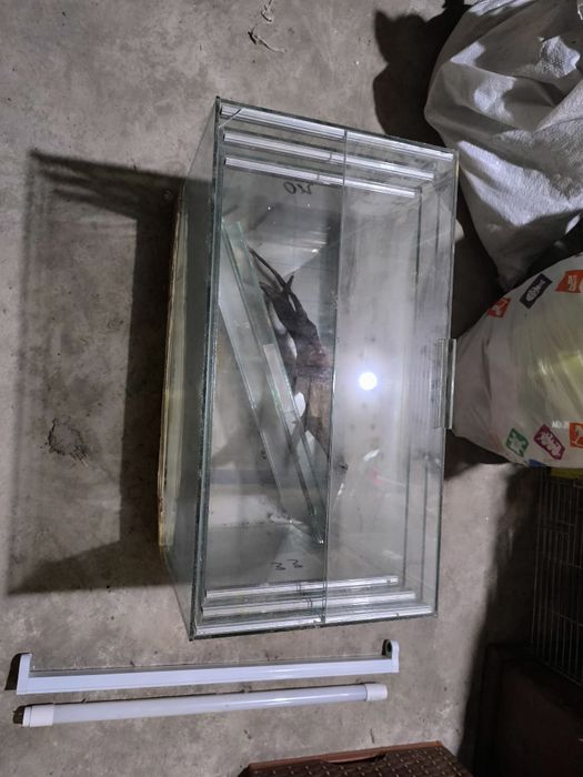 Аквариуми със стъклен капак нови