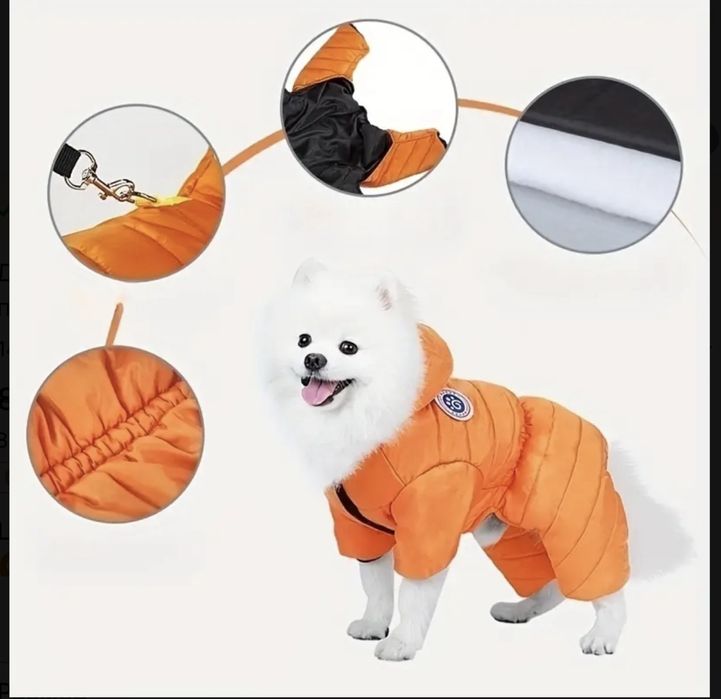 Одежда доя собак