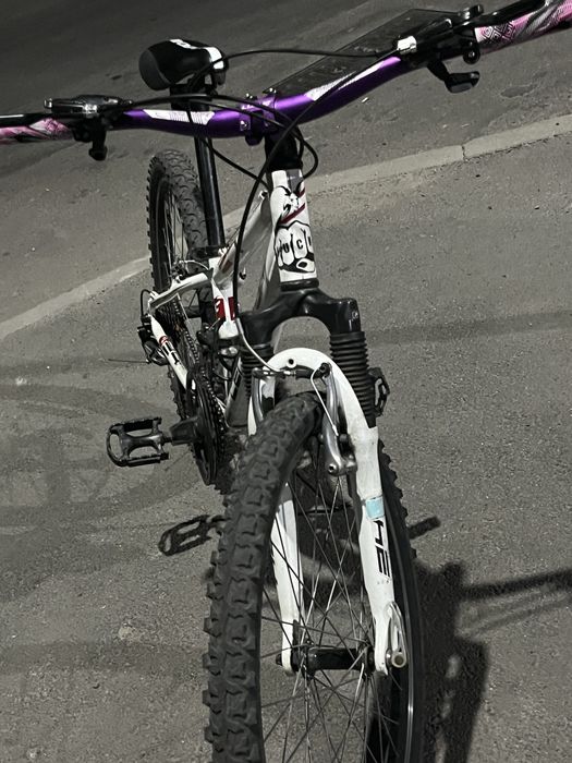 Кастомный Centurion R Bock 24’’