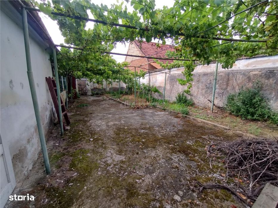 Socol | Casa 7 Camere | Parter + Pod | 546MP Teren