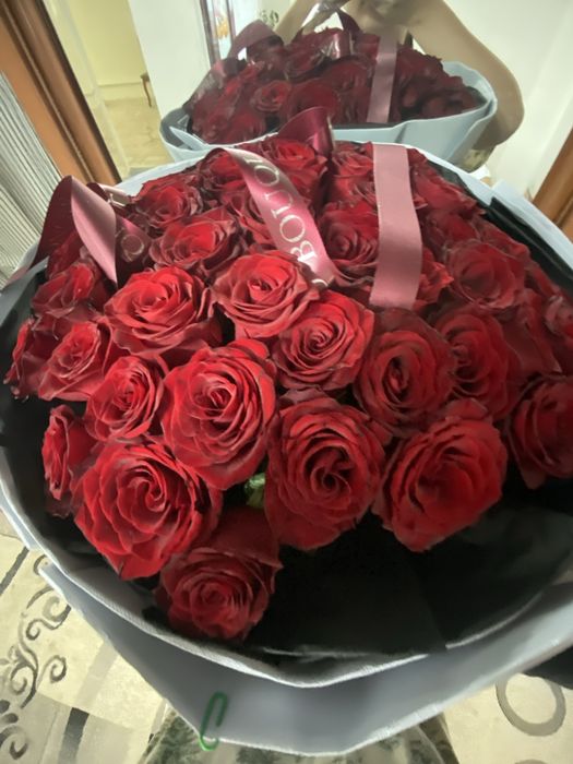 красные розы 51шт