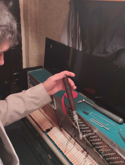 Настройка пианино, рояля.