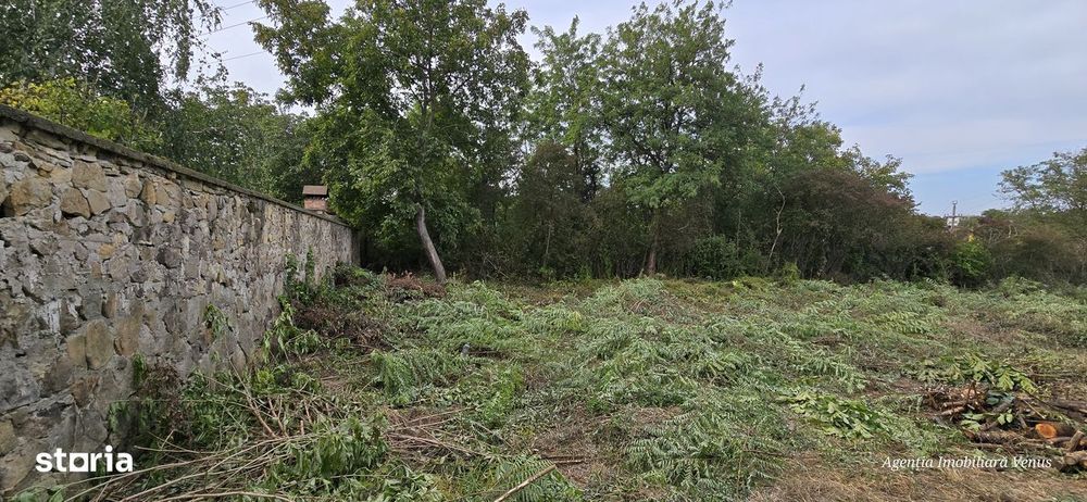 Teren cu suprafata de 1500mp mai sus de Casa Lux