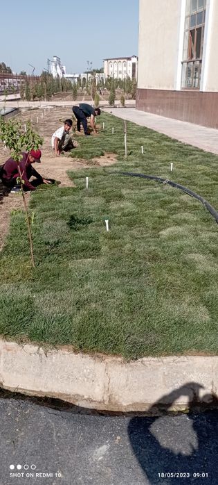 Ruloniy gazon ekish xizmati