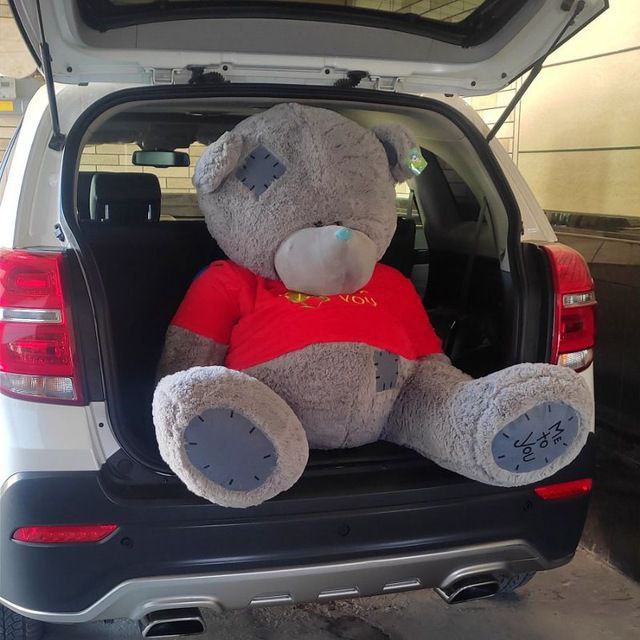 Teddy bear yumshoq o'yinchoqlari