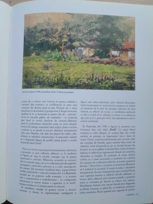 Album Familia Bednarik in arta romaneasca - Alexandru Davidian-SIGILAT