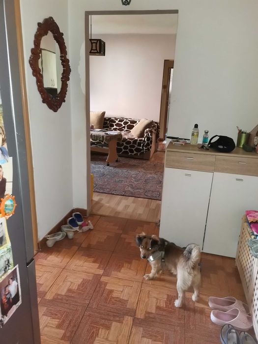 Apartament 3 camere medgidia de vânzare