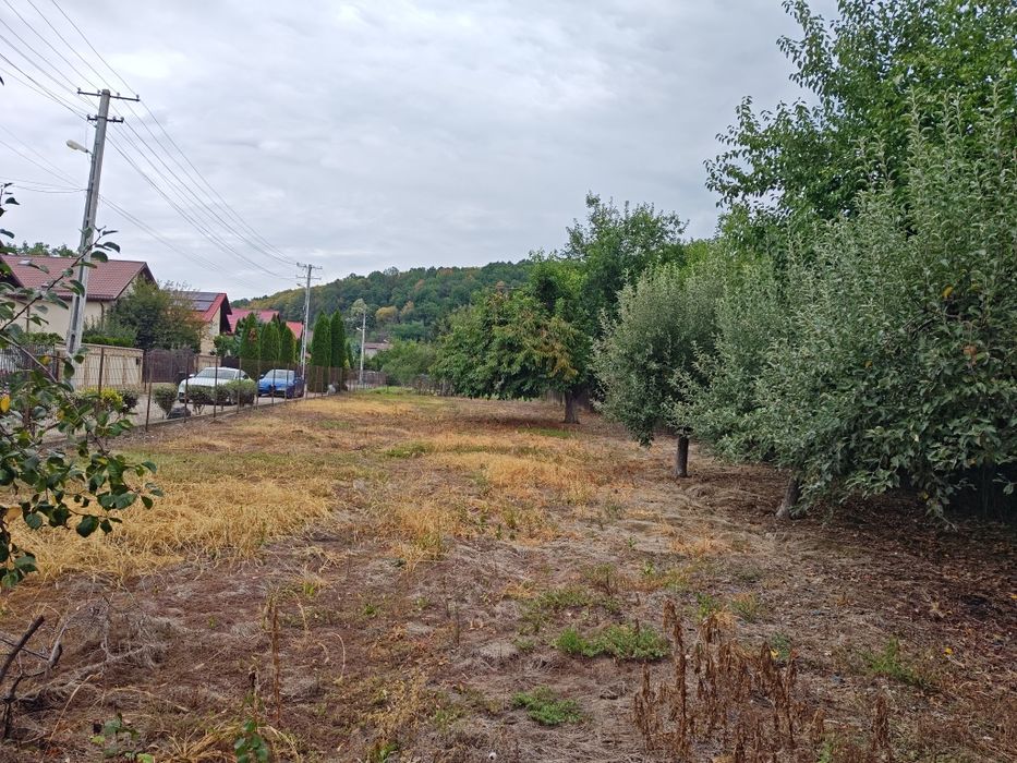 Teren Valea Mare -Podgoria 860 mp - Vedere 2