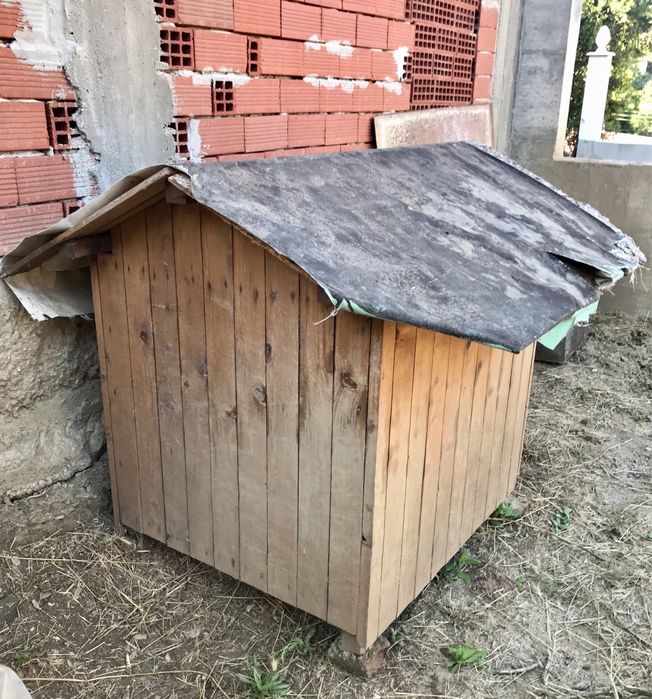 Масивна, голяма кучешка колиба