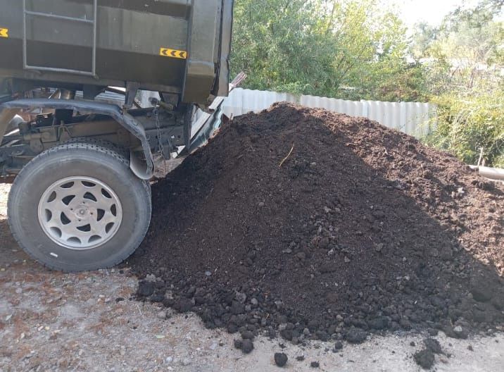 Чистый. Чернозем