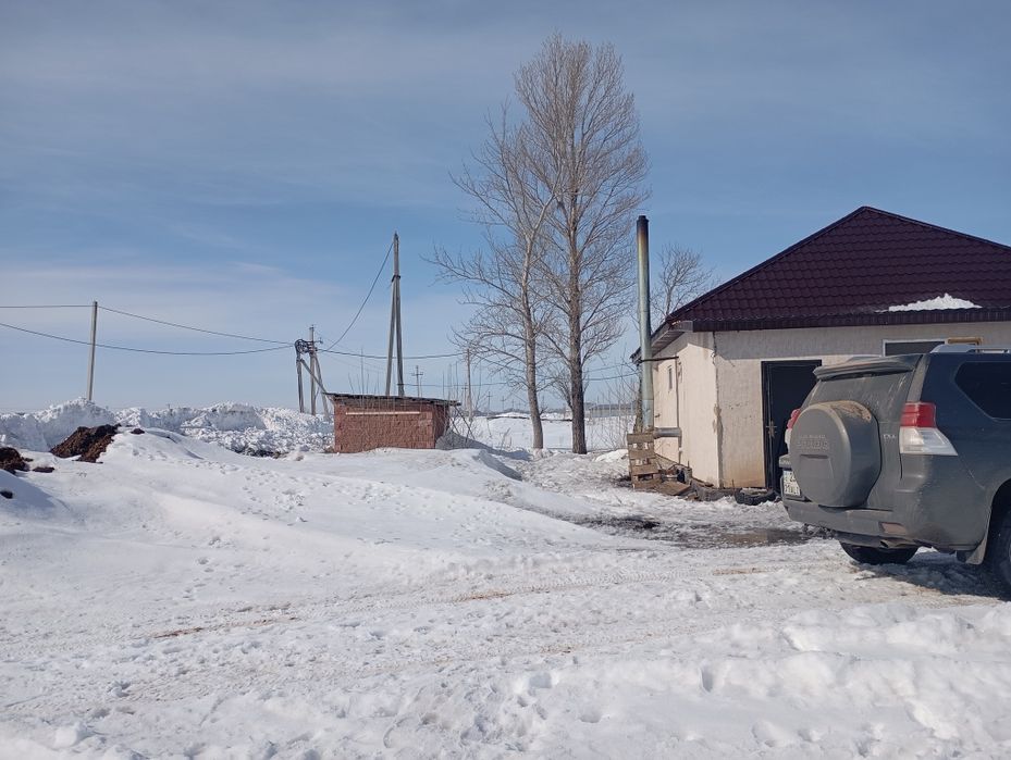 Откорм база вблизи Астаны