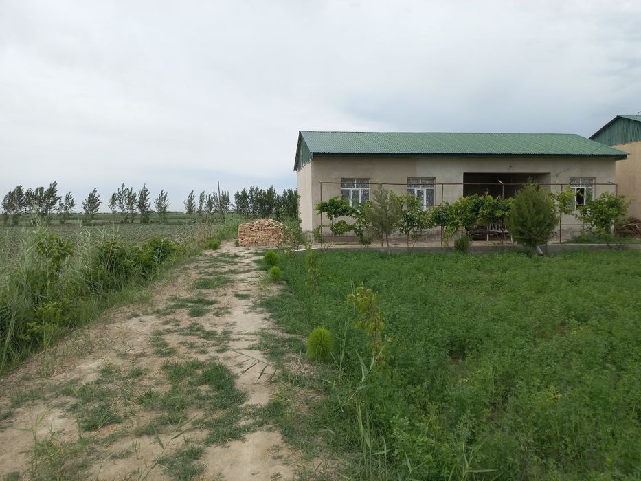 Romitan tumanida joylashgan 15 sotixli hovli tezda sotiladi.