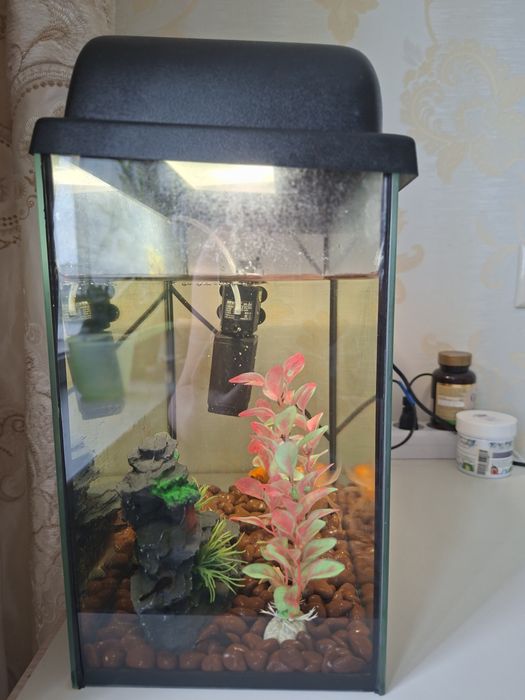 Продам аквариум  17тыс
