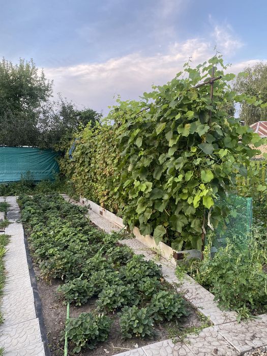 Продам дом район Аэропорт