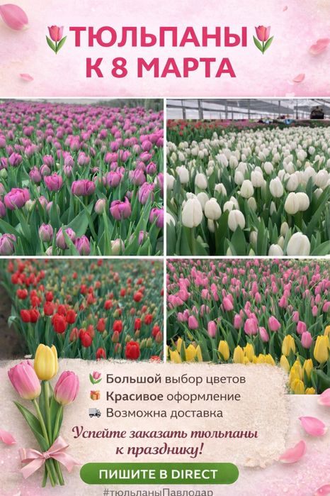 Тюльпаны ПРЕМИУМ КАЧЕСТВА. Предзаказ до 6 марта 700тг