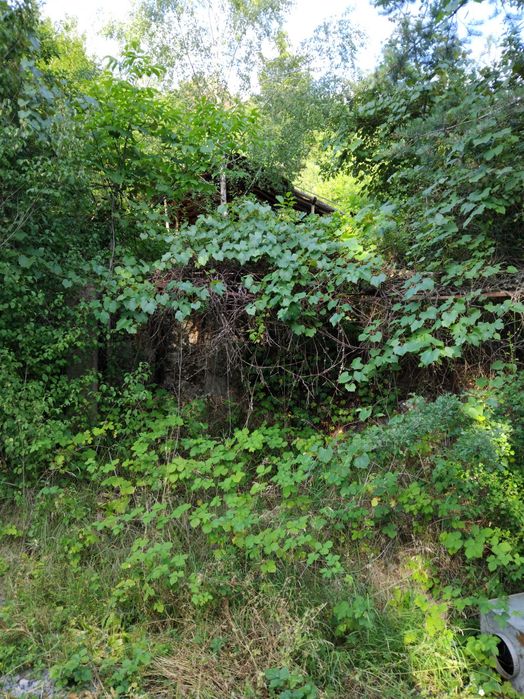 Продава се Парцел в с. Долно Камарци, Област София-област - 1148 кв.м за 14 €/кв.м - Снимка #8