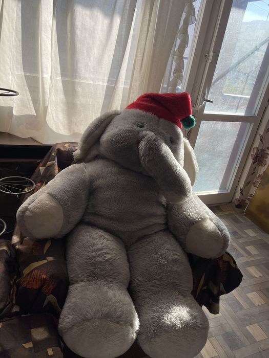 Плушено слонче висок грамаден 1,40