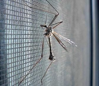 Москитная сетка на заказ