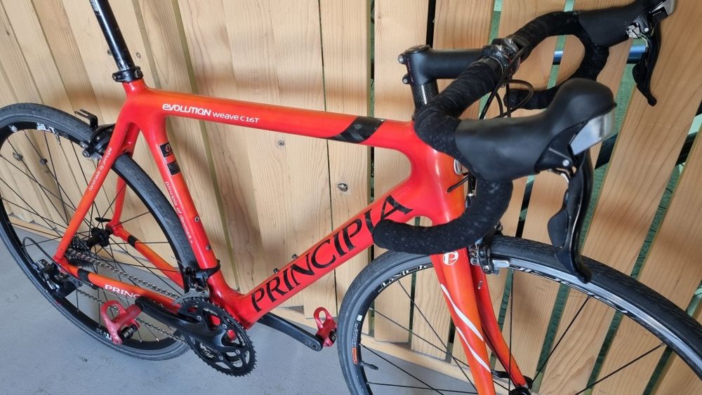 Cursiera carbon Principia
