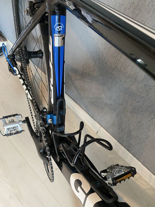 Cursiera Giant TCR