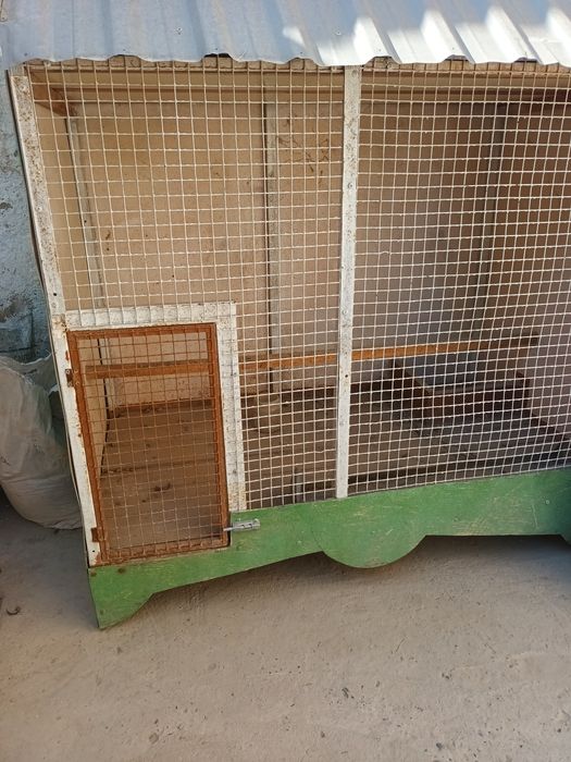 Товук канарека куш саклаш учун кафас