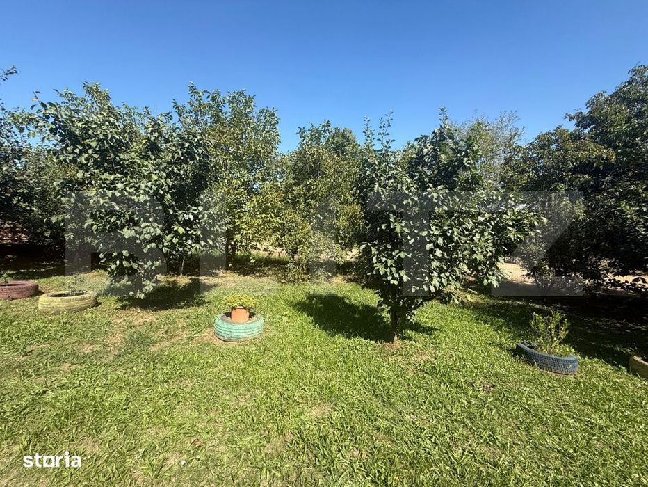 Teren intravilan, 2232 mp, Lisaura