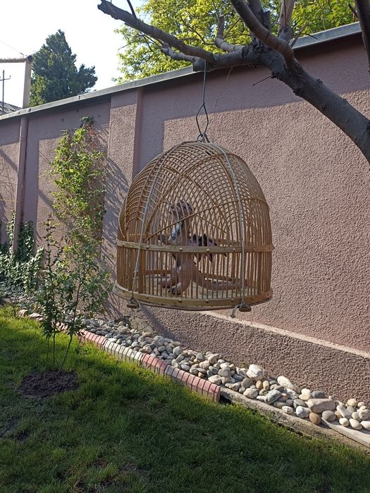 Клетка для Кеклика