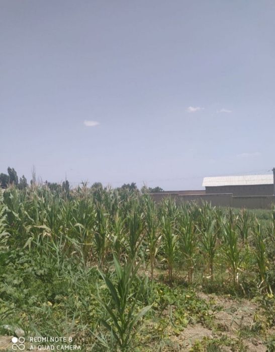 Nazabekda yer sotiladi