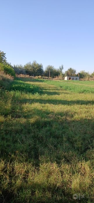Прлдается участка для жилья и скотоводство